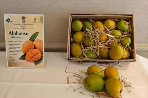 India's Mango Festival in Frankfurt draws 80+ guests, showcases 1,000 varieties