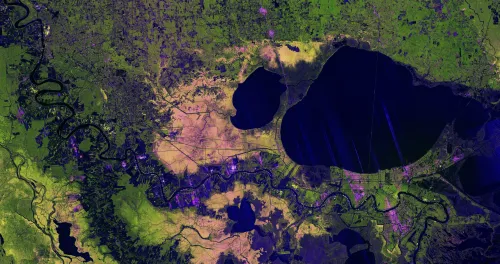How Did the India-US NISAR Radar Image Reveal the Mississippi Delta?