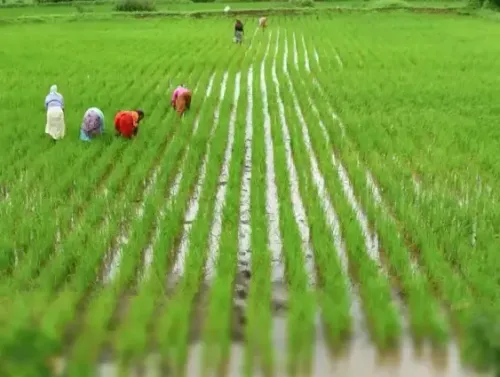 India Set for Remarkable Growth in Agricultural Exports by 2025: Report