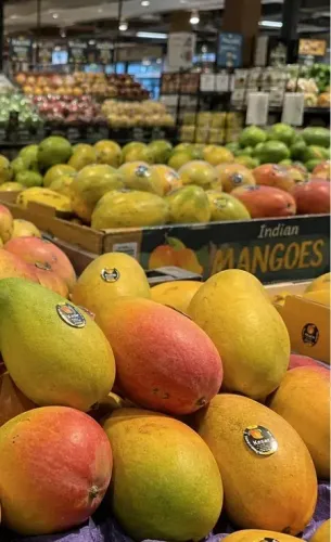 Indian mangoes sell out in hours at US retailers as summer demand surges