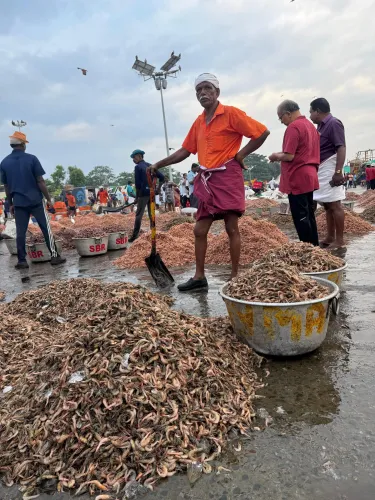How Will Indian Seafood Exporters Capture a Greater Share of the UK Market?
