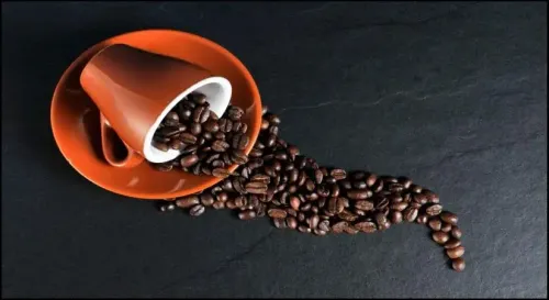 Have India’s coffee exports really more than doubled in the last 11 years?