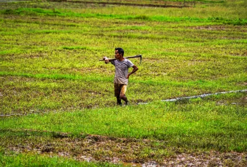 India's economy less vulnerable to monsoon shocks, says Bernstein report