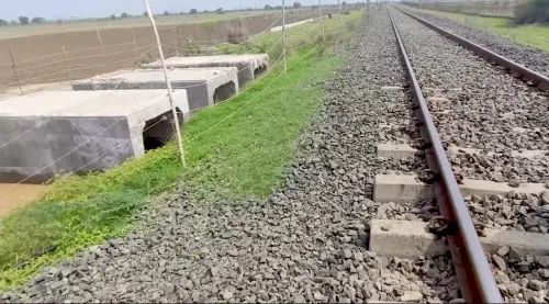 India's first lion railway underpass completed in Gujarat's Amreli