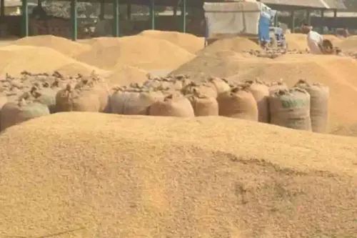 Has India’s food production truly reached a record 354 million tonnes in 2024-25?