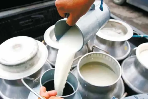 India’s Milk Production Grows by 63.6% Over a Decade, Contributes 25% to Global Output