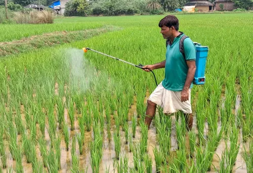Per Drop More Crop: 115 lakh hectares under micro-irrigation, 12.30 lakh farmers benefit