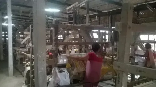 India Witnesses Steady Growth in Raw Silk Production and Exports Over Six Years