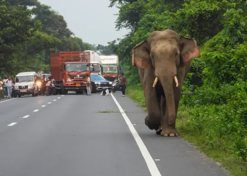 India roads sector in execution-intensive phase in FY27, states key driver: CareEdge