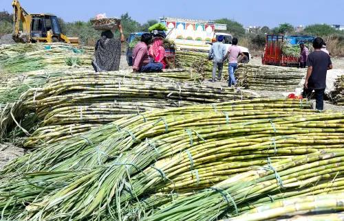 Will India's sugar production soar by 18% this season?
