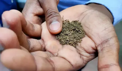 India's Tobacco Exports Reach an All-Time High of ₹12,005 Crore, Farmers' Earnings More Than Doubled