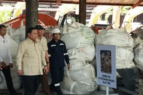 What Actions is Indonesian President Taking Against Illegal Mining?
