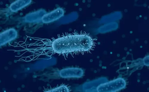 Innovative Discovery of Viral Defense Mechanism in Marine Bacteria by Israeli Scientists