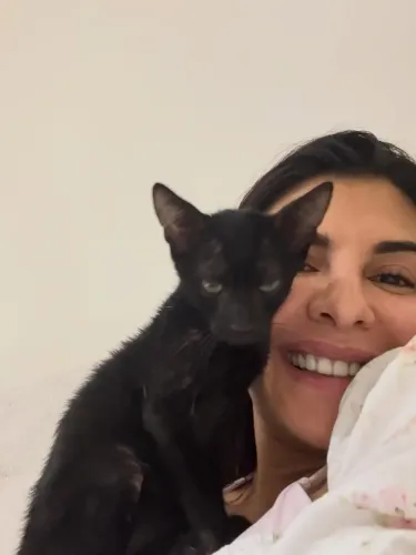 How Did Jacqueline Fernandez Rescue Kittens and Advocate for Strays?