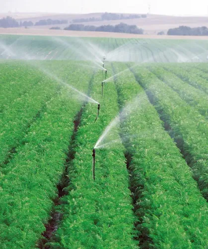 Jain Irrigation Q4 FY26: ₹19 crore net loss as shares fall 5%