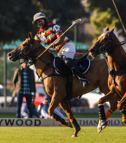 Did the Jaipur Polo Team Triumph Over Aravali in The Leela Maharaja Sawai Man Singh Polo Cup?