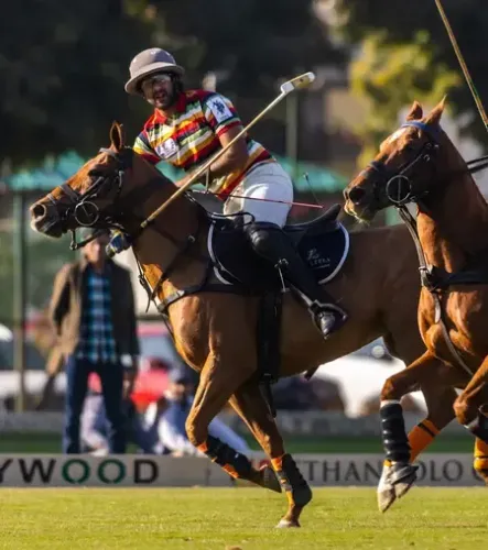 Did the Jaipur Polo Team Triumph Over Aravali in The Leela Maharaja Sawai Man Singh Polo Cup?