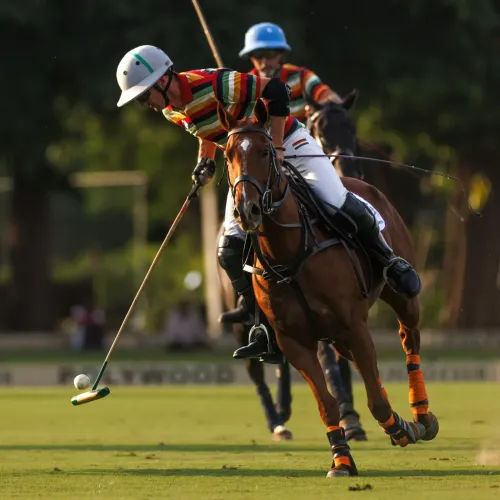 Did the Jaipur Polo Team Secure a Place in the Gen Amar Singh Kanota Cup Semi-Finals?