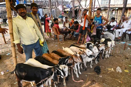 Jamiat Ulama-i-Hind issues Bakrid guidelines: follow law, maintain cleanliness