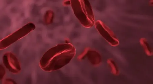 क्या आप जानते हैं सिकल सेल एनीमिया क्या है और कैसे इससे बचा जा सकता है?