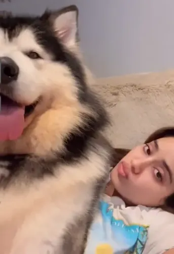 Is Janhvi Kapoor Having Fun with Her Pet Husky?