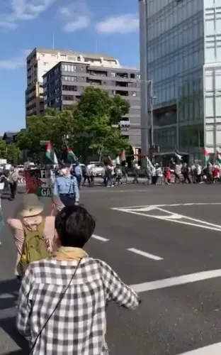 Why is Japan's Constitution Day Significant? Rally in Tokyo for Peace and Against War
