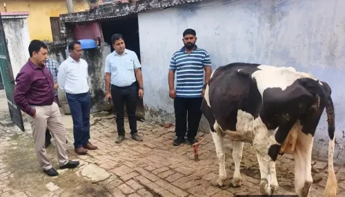 Lumpy Skin Disease in J&K: Central team inspects affected villages, collects samples