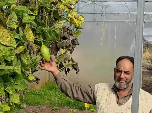 How is a Ramban Farmer Transforming Modern Agriculture?