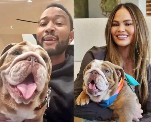 John Legend adopts puppy with wife Chrissy Teigen