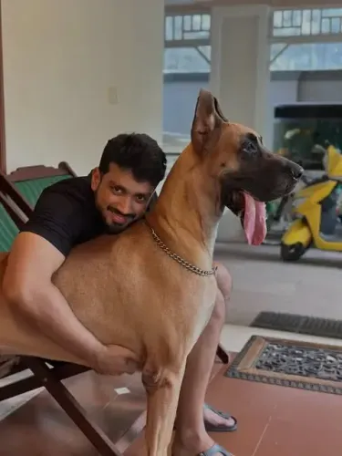 Kalidas Jayaram Shares Heartfelt Farewell to His Beloved Pet