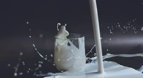 Is Kerala Achieving Milk Self-Sufficiency with Rs 254.79 Cr Support for Farmers?