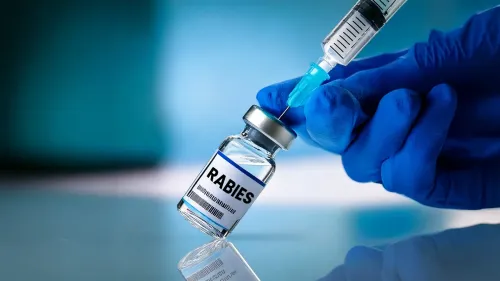 Should Kerala Launch a Pre-Exposure Rabies Vaccination Program?