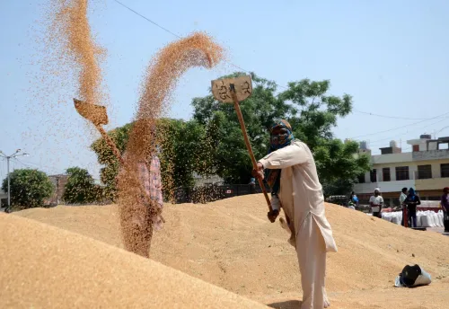 किसानों के हित में सरकार का नया कदम, 25 लाख टन अतिरिक्त गेहूं निर्यात की मंजूरी