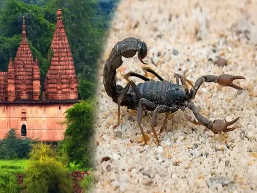 क्या कोंडामेश्वरी मंदिर में भक्त जहरीले बिच्छुओं के साथ खेलते हैं?