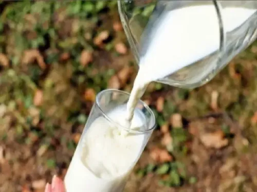 गर्मियों में सादा दूध के औषधीय गुण कैसे बढ़ाएं: जानें विशेष मिश्रण