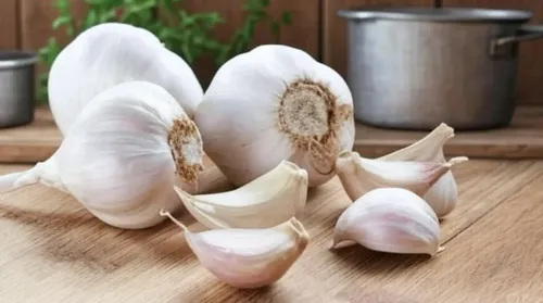 लहसुन की 1-2 कलियाँ रोज़ाना डाइट में शामिल करें — दिल, पेट और कोलेस्ट्रॉल को मिल सकते हैं ये वैज्ञानिक फायदे