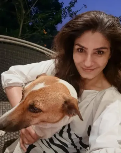 रवीना टंडन ने पंजाब सरकार से की भावुक अपील: लावारिस कुत्तों के साथ दिखाएं इंसानियत