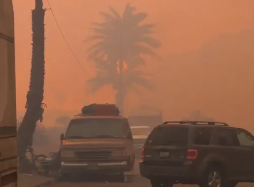 Devastating Wildfires in Los Angeles: 25 Lives Lost and 92,000 Evacuated