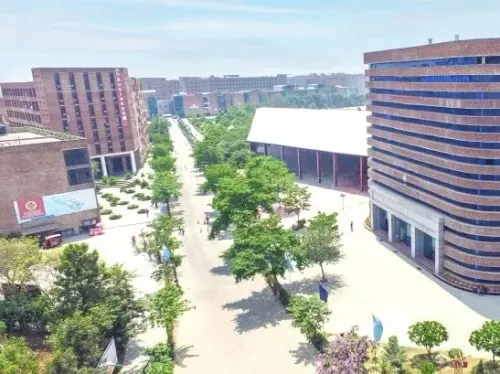 Why Did Lovely Professional University Terminate All MoUs with Turkey and Azerbaijan?