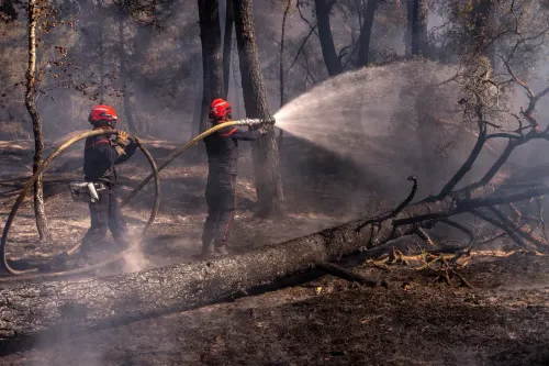 France wildfires 2026: Macron thanks forces as 98,000 hectares burn