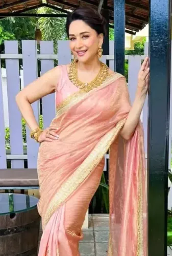 क्या माधुरी दीक्षित ने 'शेकी-शेकी' पर गुलाबी साड़ी पहनकर सबको चौंका दिया?