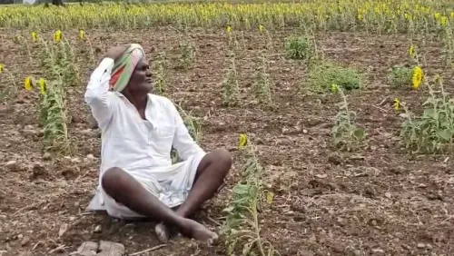 महाराष्ट्र सूखा संकट: 265 तालुकों में पंचनामा, 19 नए तालुकों में फसल सर्वेक्षण के निर्देश
