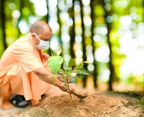 Transforming Uttar Pradesh: Over 242 Crore Saplings Planted in Nine Years