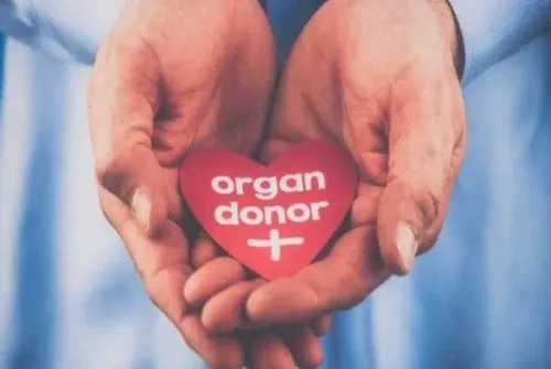 How Did a Man in Gurugram Save Three Lives Through Organ Donation?