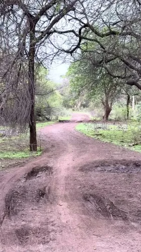 Mandaviya Shares Nature Moments from Porbandar Constituency