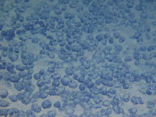 Did MOIL Achieve Record October Production of 1.6 Lakh Tonnes?