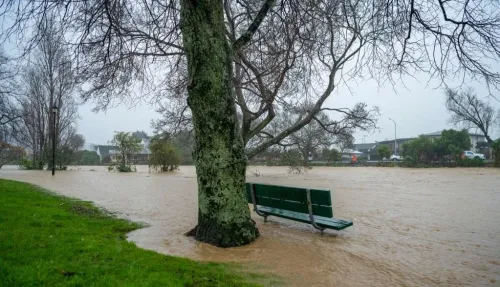 Wellington hit by 11-metre swells, gale-force winds; evacuations ordered