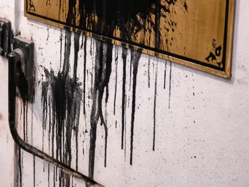 What Sparked the Controversy Over Meat Seizures in Bhopal?