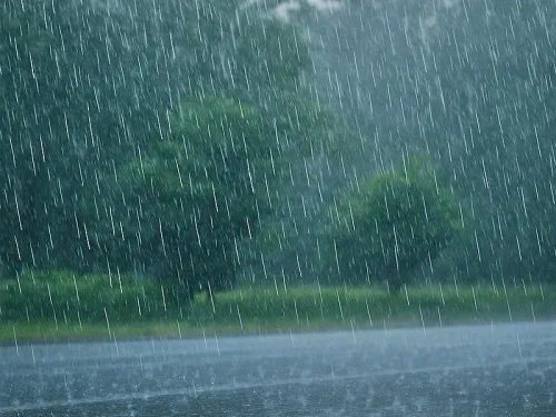 Is a Red Alert for Heavy Rain in North Bengal Coming This Friday?