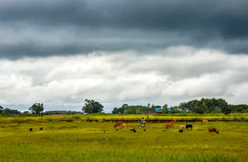 Rainfall and Thunderstorms Expected in West Bengal Until Monday